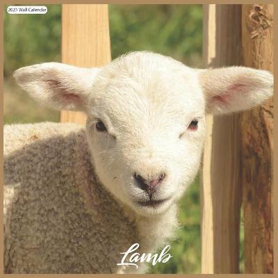 Book cover for Lamb 2021 Wall Calendar