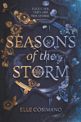 Book cover for Seasons of the Storm