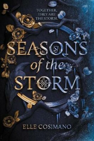 Cover of Seasons of the Storm