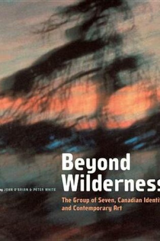 Cover of Beyond Wilderness