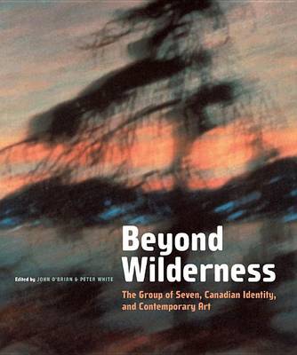 Book cover for Beyond Wilderness