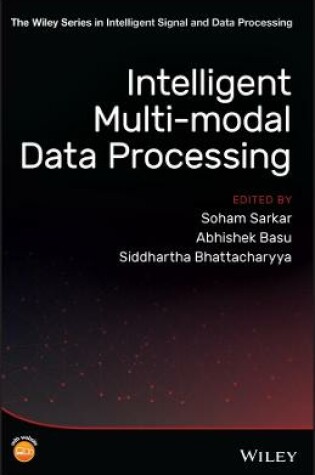 Cover of Intelligent Multi–modal Data Processing