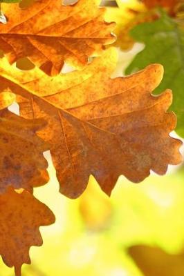 Book cover for Exquisite Oak Leaves in the Fall Journal