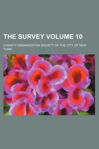 Cover of The Survey Volume 10