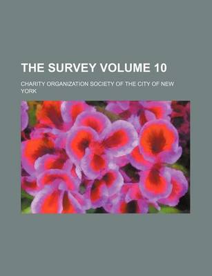 Book cover for The Survey Volume 10