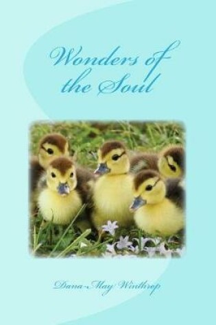 Cover of Wonders of the Soul