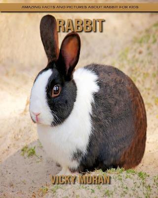 Book cover for Rabbit