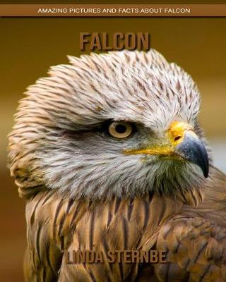 Book cover for Falcon