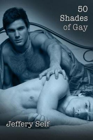 Cover of 50 Shades of Gay