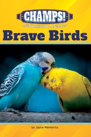 Cover of Brave Birds