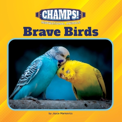 Cover of Brave Birds