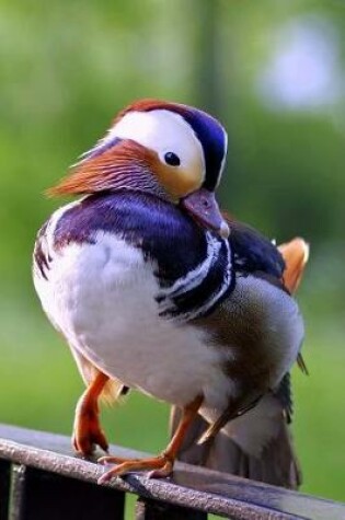 Cover of Darling Mandarin Duck Water Fowl Bird Journal