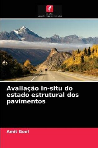 Cover of Avaliacao in-situ do estado estrutural dos pavimentos