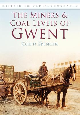 Book cover for The Miners and Coal Levels of Gwent