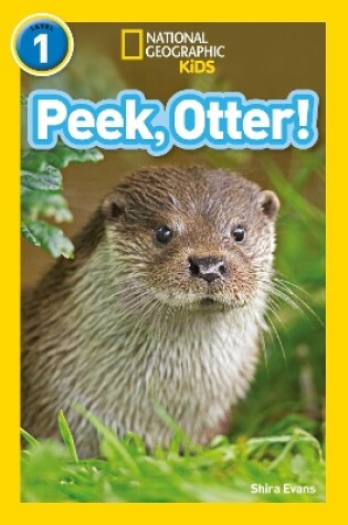 Cover of Peek, Otter!