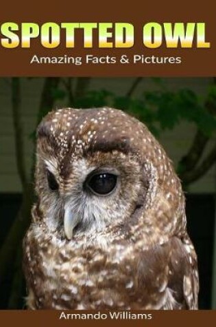 Cover of Spotted Owl