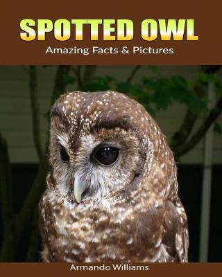 Book cover for Spotted Owl