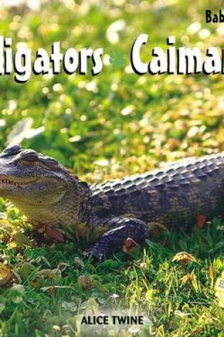 Cover of Alligators / Caimanes