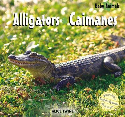 Book cover for Alligators / Caimanes