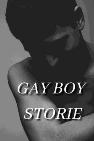 Cover of Gay Boy Storie