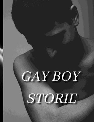 Book cover for Gay Boy Storie