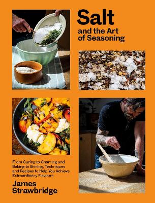 Book cover for Salt and the Art of Seasoning