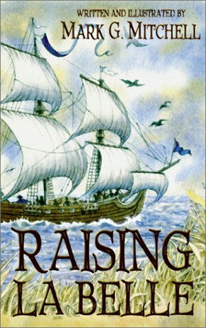 Book cover for Salle's Shipwreck