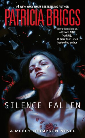 Book cover for Silence Fallen