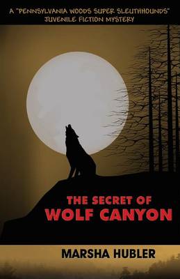 Book cover for The Secret of Wolf Canyon