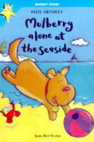 Cover of Mulberry Alone At The Seaside