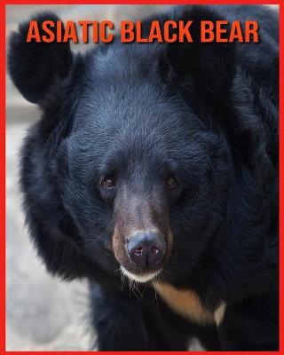 Book cover for Asiatic Black Bear