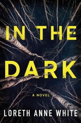 Cover of In the Dark