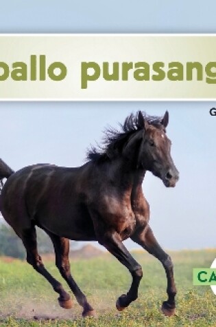 Cover of Caballo purasangre (Thoroughbred Horses)