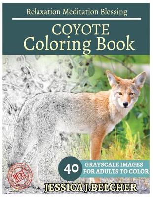 Book cover for Coyote Coloring Book for Adults Relaxation Meditation Blessing