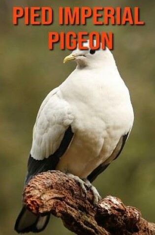 Cover of Pied Imperial Pigeon