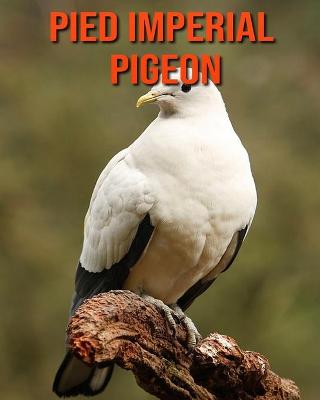 Book cover for Pied Imperial Pigeon