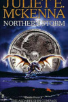 Book cover for Northern Storm