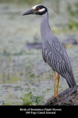 Book cover for Birds of Dominica (Night Heron) 100 Page Lined Journal