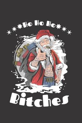 Book cover for Ho Ho Ho Bitches