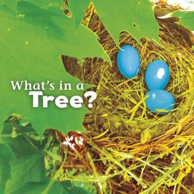 Cover of What's in a Tree?
