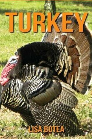 Cover of Turkey