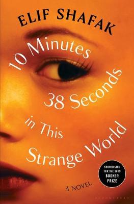 Book cover for 10 Minutes 38 Seconds in This Strange World