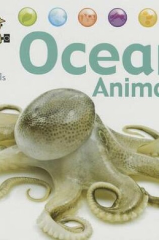 Cover of Ocean Animals
