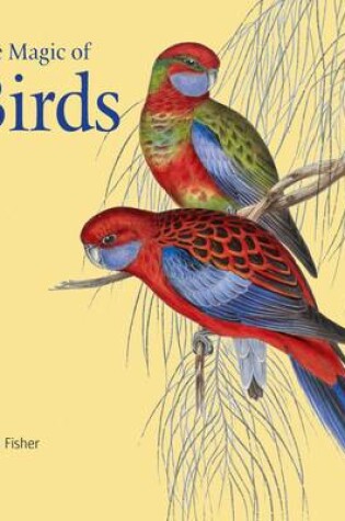 Cover of The Magic of Birds