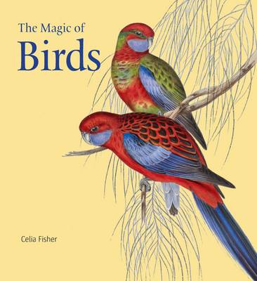 Book cover for The Magic of Birds