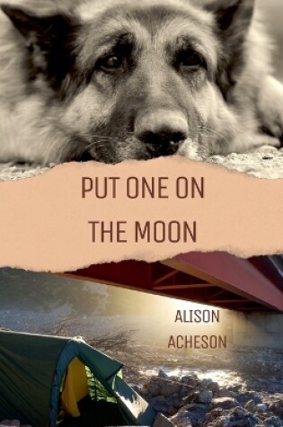 Cover of Put One On the Moon