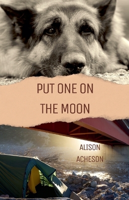 Book cover for Put One On the Moon