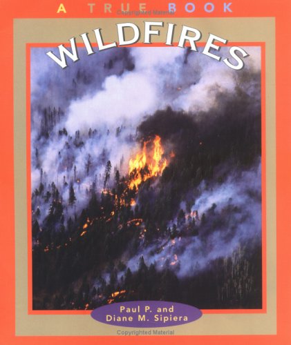 Book cover for Wildfires