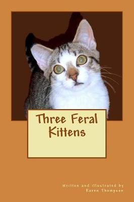 Book cover for Three Feral Kittens