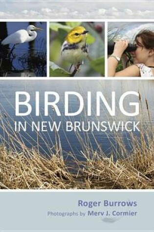 Cover of Birding in New Brunswick
